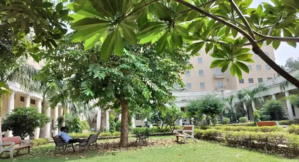 delhi university pic 4